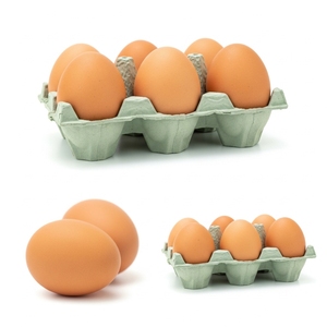 Œufs de poule frais à coquille blanche, directement de la ferme, pour la consommation quotidienne, destinés aux acheteurs en gros et aux distributeurs alimentaires. - Product Image 1