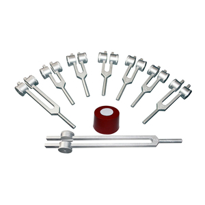 Kit d'instruments de diagnostic ORL : Diapason 256 Hz, Marteau de réflexe du genou, Goniomètre, Mètre ruban, Kit médical en acier inoxydable - Product Image 1