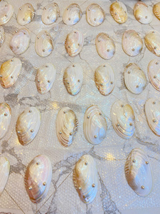 Cuchara Glam Shell de Nácar Plateada con Acabado Espejo, Duradera, Ecológica, Venta al por Mayor, Suministro a Granel - Product Image 4