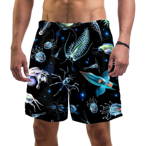 Custom Logo Color Double <b>Layer</b> Casual Quick Dry Canvas Fabric Drawstring Closure Summer Sublimation Custom Blank Men Shorts - Product Image 5