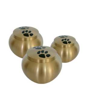 Brass Pet <b>Urn</b> for Dog <b>Cat</b> Ashes Mini Keepsake Cremation <b>Urns</b> Metal Memorial Ash Holder with Paw Prints Funeral Jar - Product Image 3