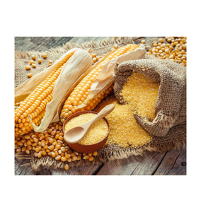Harina de Gluten de Maíz Premium en Venta al por Mayor, Grado Alimenticio para Animales, Calidad Superior, Lista para Enviar - Product Image 4