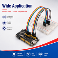 Cableado Dupont Personalizado Macho a Macho 1P 2P 3P 4P 5P 6P 10P 20P 30P 40P 2.54mm, Cables Jumper para Breadboard, Arnés de Cable Plano Tipo Cinta