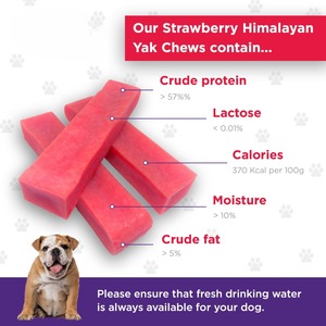 OEM ODM Masticables de Yak del Himalaya con Sabor a Fresa para Perros, Masticables Dentales Naturales de Larga Duración para Todas las Razas, Soporte de Marca Privada - Product Image 5