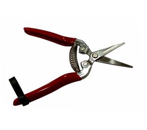 <b>JACK</b> WORTH Stainless Steel Long-Nose Fruit <b>Scissor</b> with Metal Handle for Garden Use - Product Image 1