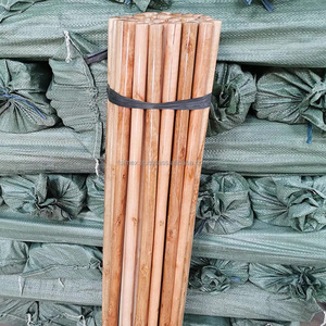 Vietnam Factory Natural Wooden Broomstick with PVC Broom Head Varnished Garden Clean Home Brush - Product Image 4
