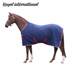 Couverture d'extérieur imperméable pour cheval, légère, respirante, pour écurie, tapis de pluie équestre, sangles réglables, durable, bleu marine - Product Image 3