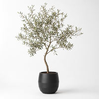 Jardinière contemporaine ovale en fibre de verre noire et lisse pour patio et jardin, ensemble de 4 pots de fleurs de différentes tailles (30-70 cm)
