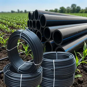 ท่อ HDPE ลดราคาพิเศษ สำหรับระบบน้ำประปา ชลประทาน การก่อสร้างอุตสาหกรรม และท่อใต้ดิน มีจำหน่ายแล้ว - Product Image 1