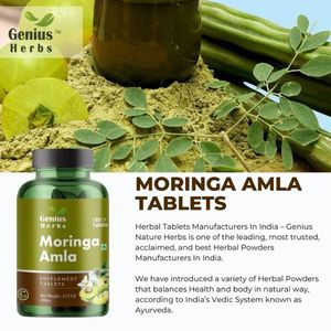 Tabletas Nutritivas de Moringa Amla, Producto Natural a Base de Plantas, Venta al Por Mayor para Centros de Bienestar y Tiendas de Salud, Suministro Global - Product Image 4
