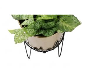 Pots de jardin décoratifs au design tendance, finition brillante, jardinières en métal, fabricant et fournisseur de jardinières en acier - Product Image 5