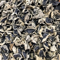 Boisson santé Heimuer en poudre de champignons noirs