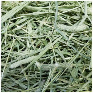 Foin de timothée en balles, foin de timothée et granulés de luzerne à vendre. Foin de timothée pour l'alimentation animale. - Product Image 3
