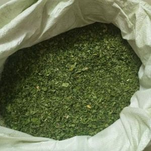 Hojas de Moringa Orgánicas Deshidratadas, Follaje de Árbol de Moringa, Superalimento Natural Verde, Exportación a Granel - Product Image 2