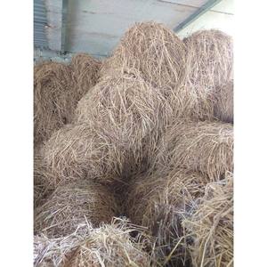 Forros de Paja de Arroz GIA GIA NGUYEN, Control de Humedad, Productos Agrícolas para Comederos de Animales, Vietnam - Product Image 5