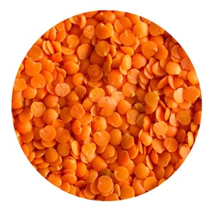 High Quality Bulk Dried Whole Green and <b>Red</b> Lentils Available for Sale - Product Image 4