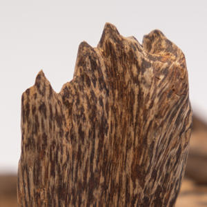 Materia Prima de Agarwood de Calidad de Exportación - Product Image 5