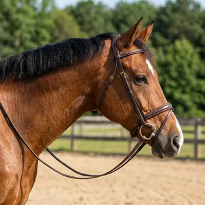 Bridon de cheval réglable en cuir durable avec rênes respirantes – Équipement équestre - Product Image 5