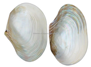 Bandeja de plato de nácar verde de alta calidad, superventas para jabones de baño, soporte de drenaje de jabón tallado para decoración de habitaciones de descanso de Hotel - Product Image 6