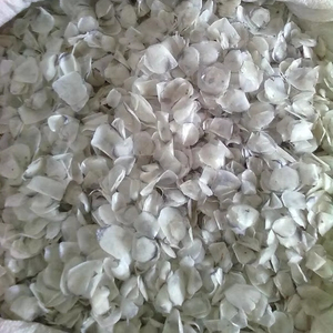 Escamas de Pescado al por Mayor de Vietnam para Uso Industrial - Hechas con 100% Pescado Fresco - Product Image 1