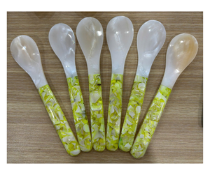 Cuchara de Concha Marina Hecha a Mano de Primera Calidad, Origen Vietnam - Utensilio de Concha Natural para Servir y Decorar la Mesa - Product Image 6