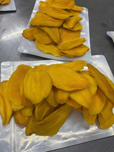 Vietnam Soft <b>Dried</b> Mango Premium Fruit Snack OEM ODM Custom Packaging - Product Image 1