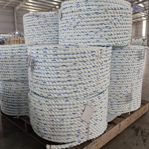 Danline เชือก PP ผลิตในประเทศเวียดนามเชือกเกลียวโพรพิลีนป้องกันรังสี UV ขนาด22มม. 18มม. 20มม. 3เส้น - Product Image 6