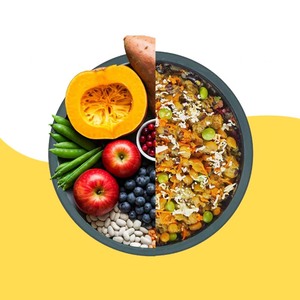 Alimento Húmedo Vegano Ayurvédico para Perros OEM, Nutrición Orgánica a Base de Plantas en Lata, Alto en Proteínas, Proveedor Mayorista de Exportación a Granel en India - Product Image 6