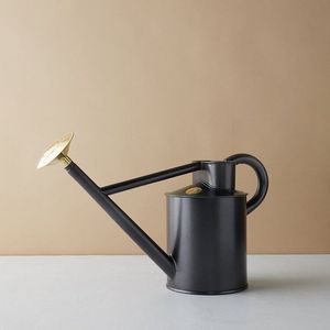 Arrosoir compact en métal avec long bec pour une manipulation facile et un arrosage précis des plantes et des fleurs d'intérieur - Product Image 3