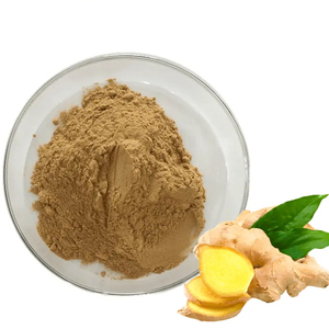 Jengibre en Polvo Fino, Ingrediente Alimentario para Preparación Culinaria, Cocina, Procesamiento de Alimentos y Uso Comercial - Product Image 1
