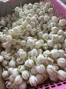 Flor de jazmín de arcilla hecha a mano con efecto de semi-floración |   Flor de Jazmín Realista Tailandesa |   Guirnalda de jazmín artificial de arcilla decorativa - Product Image 5