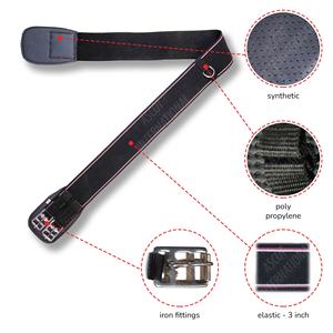 Meilleure vente de sangle d'équitation élastique avec raccords en PP synthétique Ss Equipement pour chevaux - Product Image 2