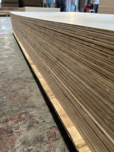 Contrachapado de chapa de abedul 1220 x 2440/ 1250 x 2500, grado D/DD, certificado E0 E1 CARB P2 para fabricación de muebles y paneles interiores - Product Image 6