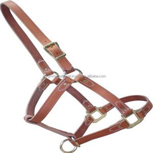 Équipement de course de chevaux équestres licou en cuir uni fait à la main avec design riveté cheval licou de haute qualité fait à la main - Product Image 1