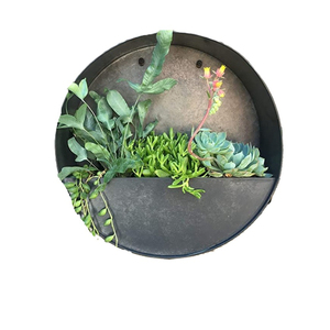 Pot mural rond en métal galvanisé pour décoration de jardin intérieur, style ferme, support mural pour plantes en fer. - Product Image 2