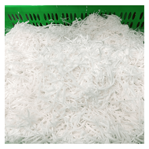 Carne de Coco Congelada IQF de Alta Calidad, en Rodajas y Cubos, Dulce, Suave y Tierna, de Vietnam - Product Image 1