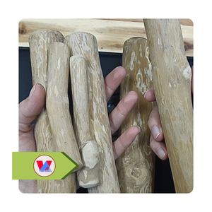 Disponible: Madera de café sostenible para masticar para perros, juguete natural y duradero para mascotas, para la eliminación de placa, alivio del estrés y ejercicio de mandíbula. - Product Image 3