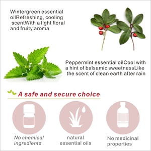 Spray Antilamido y Antipicaduras Natural y Ecológico de PVC para Perros y Gatos X2, Spray Antipulgas y Garrapatas con Aroma Floral / Desodorante para Mascotas - Product Image 4