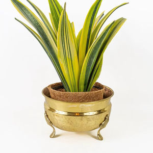 Maceta de metal con acabado dorado de lujo para vestíbulo de hotel, eventos de boda y decoración interior premium - Product Image 1