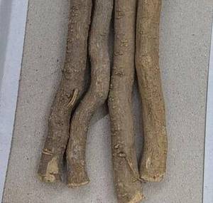 Natural <b>Miswak</b> Toothbrush <b>Stick</b> Traditional Oral Hygiene Product Portable Salvadora Persica Chewing <b>Stick</b> For Daily Personal - Product Image 5