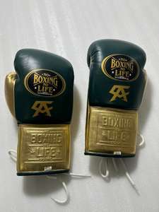 ถุงมือชกมวยแบบปรับแต่งได้ NO BOXING NO LIFE วัสดุ PVC/PC สำหรับ MMA เทควันโด ฝึกศิลปะการต่อสู้ แบบผูกเชือกที่ข้อมือ เป็นมิตรกับสิ่งแวดล้อม - Product Image 4