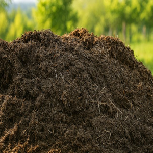 Poudre de fumier de vache biologique de qualité supérieure, engrais naturel à 99 % pour l'agriculture, le jardinage et le compost, durée de conservation de 24 mois - Product Image 4