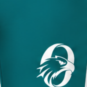 Manufacturer Custom Teal Football Shorts Athletic Uniform Shorts Team Training Wear Custom <b>Sports</b> <b>Apparel</b> Performance Clothing - Product Image 6