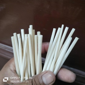 Rollos de Hueso Natural Hechos a Mano para la Fabricación de Joyas, Manualidades, Decoración del Hogar, Campanas de Viento y Accesorios de Bricolaje - Product Image 2