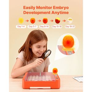 Incubateur 36 œufs avec ovoscope LED, bac à eau automatique, contrôle de la température et de l'humidité, vue à 360 degrés, produit clair et visible - Product Image 3
