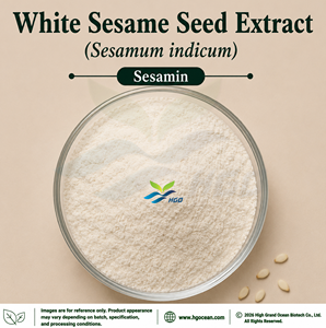 HGO Factory Direct Supply of Natural Black Sesame <b>Seed</b> Extract (Sesamum indicum) Food Grade Sesamin 98% Standardized Extract - Product Image 2