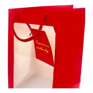 Sac en papier à provisions transparent en acétate intBOX pour la marque et l'affichage à l'intérieur du produit - Product Image 2