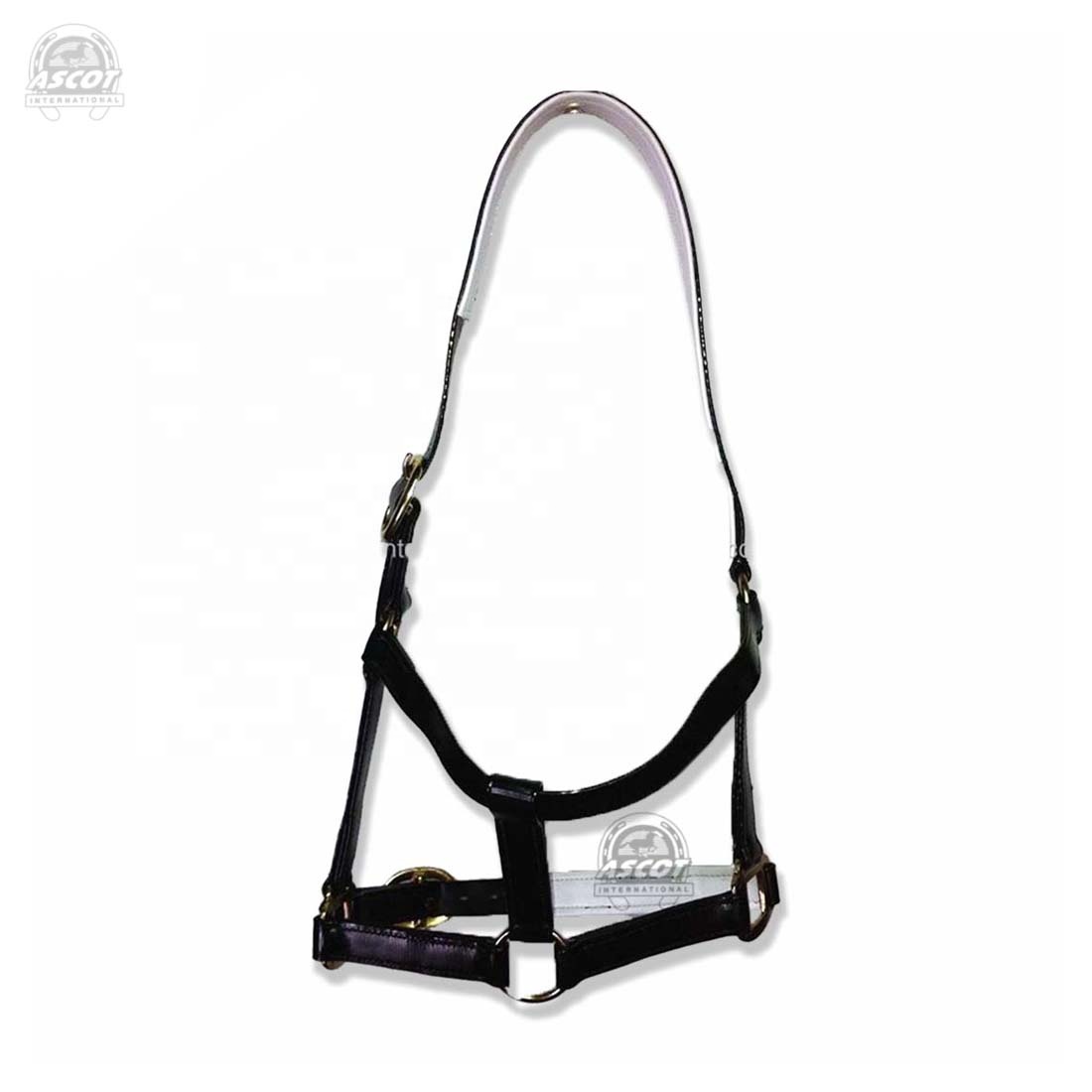 Лучшее качество ПВХ Horse Halter с фитингами ss регулируемый ремешок для оборудования для верховой езды оптовая цена