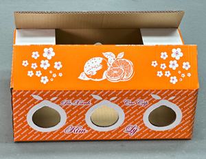 Custom Printed Pomelo Export Carton Box For Fresh Fruit Agricultural Packaging Vietnam OEM ODM Supplier Heavy Duty Box - Product Image 3