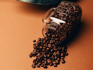 Gaia Caf A+ Grade Roast Coffee Beans <b>Honey</b> <b>Process</b> Robusta MEDIUM Roasted Lam Dong Province Origin Vietnam HACCP Certified - Product Image 3